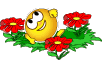 Klicke auf die Grafik fr eine vergrerte Ansicht

Name: animierte-smilies-sommer-001.gif
Ansichten: 18
Gre: 14,4 KB
ID: 10413747