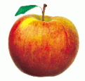 Klicke auf die Grafik f�r eine vergr��erte Ansicht

Name: apfel.gif
Ansichten: 5
Gr��e: 11,5 KB
ID: 9904632