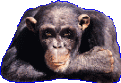 Klicke auf die Grafik fr eine vergrerte Ansicht

Name: avatar-758.gif
Ansichten: 33
Gre: 18,6 KB
ID: 9905839